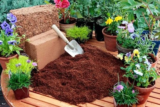 The Marvels of Cocopeat: A Sustainable Solution for Gardening