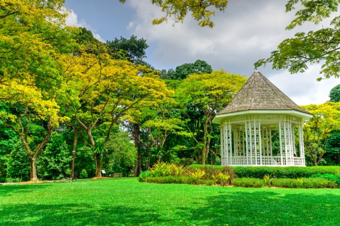 Exploring the Wonders of Botanical Gardens: A Comprehensive Guide