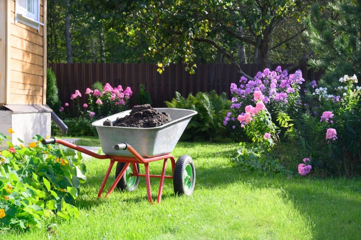 The Ultimate Guide to Lawn and Garden Care