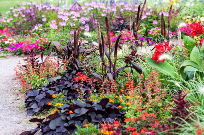 Maximizing the Beauty and Elegance of Your Flower Garden