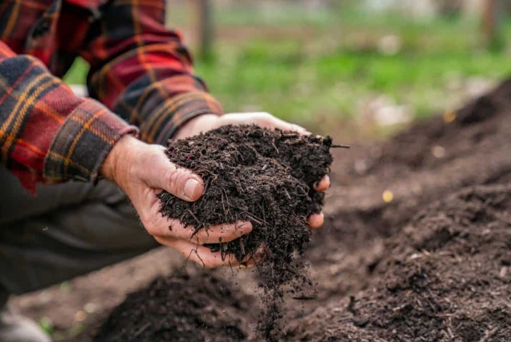 garden compost