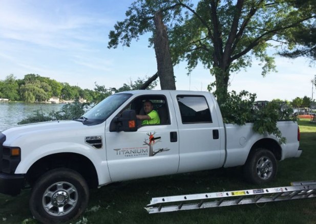 Seasonal Tree Service: When is the Best Time for Tree Maintenance?