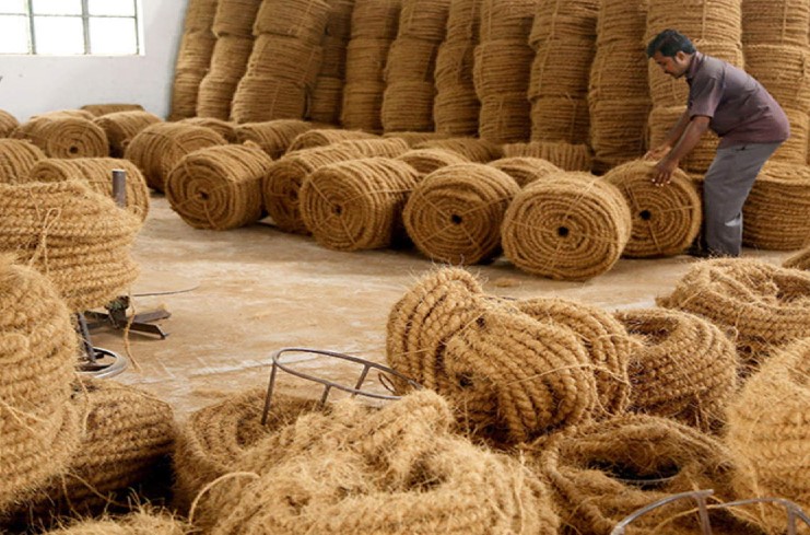 The Ultimate Guide to Coir Products: Benefits, Uses, and Eco-Friendly Appeal