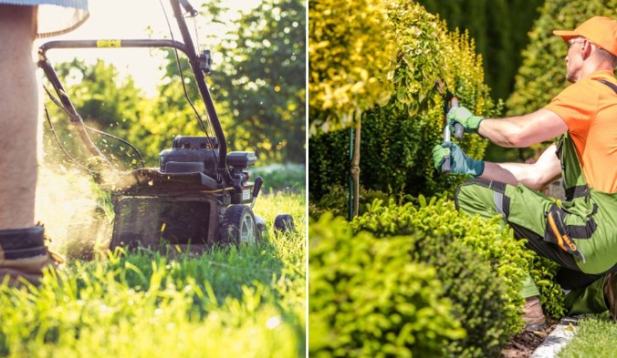 Florida Landscape Care: Why Expert Maintenance Makes the Difference