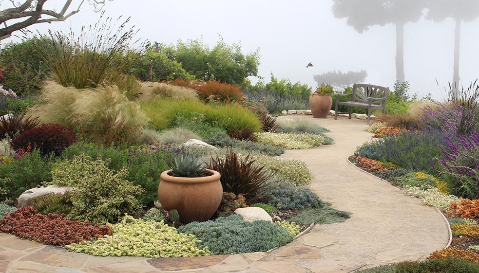 Top Drought-Resistant Landscaping Ideas That Save Water